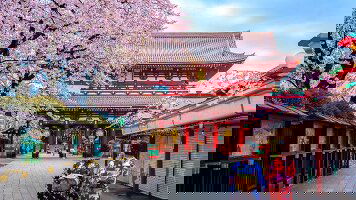 13 Day Cherry Blossom Festival (On The Go Tours)