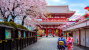 Asakusa Kannon Temple