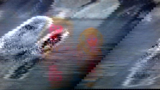 Small Group Tours Tours)