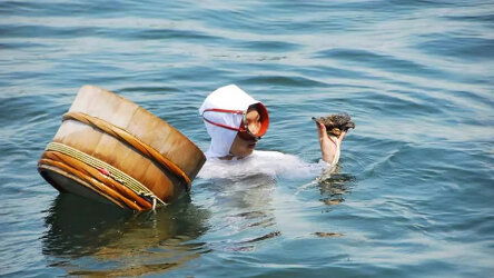 10 Day Japan Explorer (Princess)