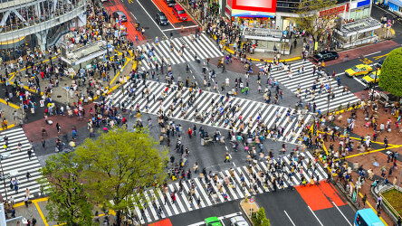 Shibuya Crossing