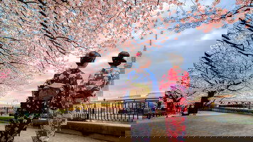 12 Day Enchanting Japan (APT)