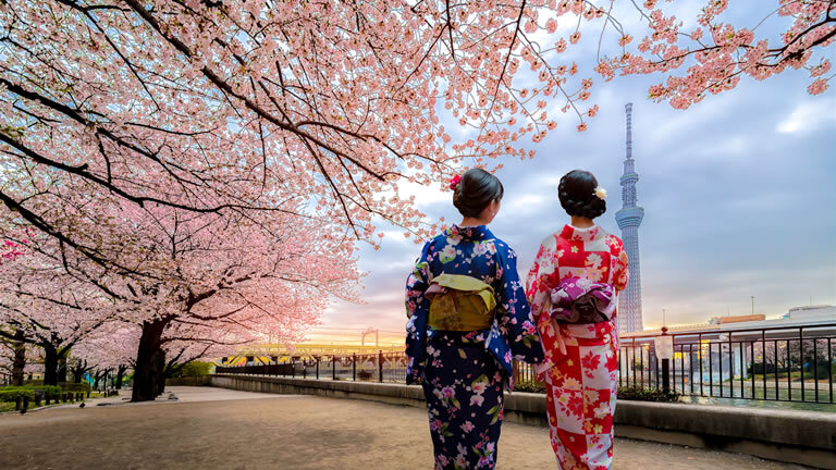 Independent Tokyo & Kyoto City Stays
