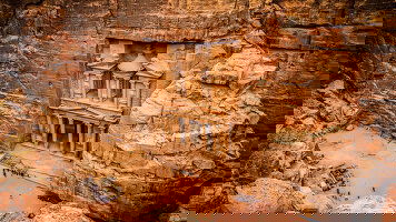 Cosmos Middle East Tours