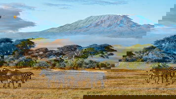 12 Day On Safari in Kenya & Tanzania with Nairobi (Cosmos)