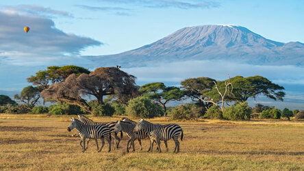 Climb Kilimanjaro