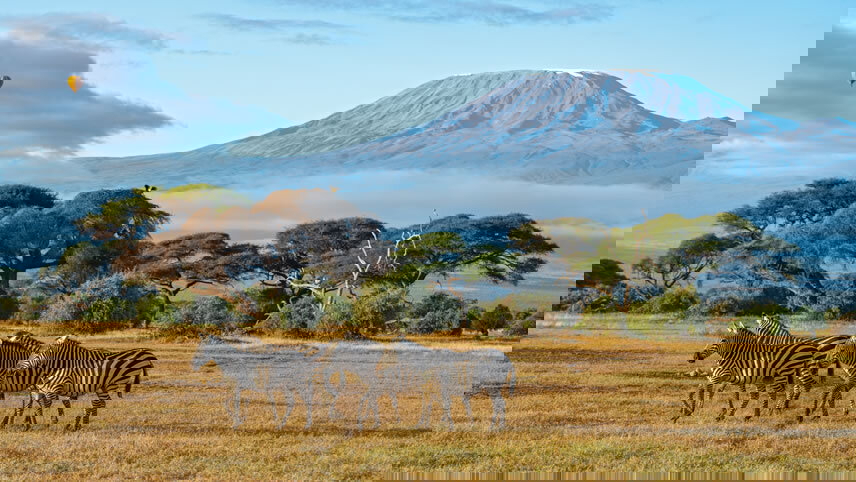 On Safari in Kenya & Tanzania with Nairobi