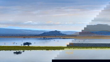 17 Day Kenya & Tanzania: the Safari Experience with Zanzibar (Globus)