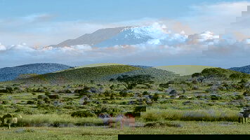 15 Day Kenya & Tanzania: The Safari Experience with Nairobi (Globus)