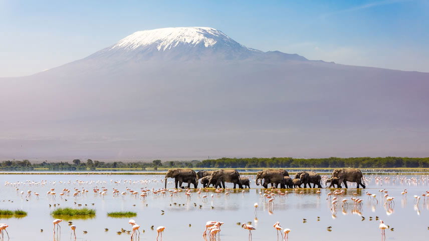 Spotting the wildlife of East Africa with Peregrine Adventures