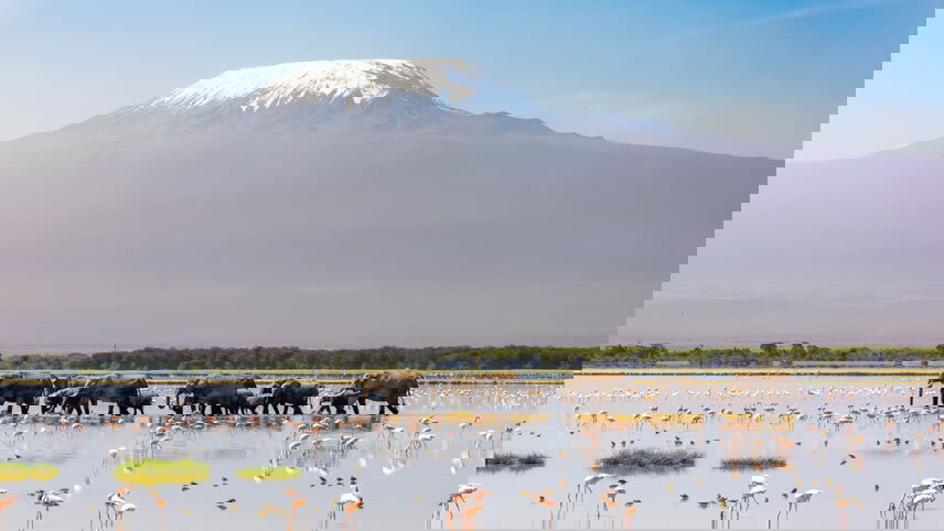 Mt Kilimanjaro Trek - Marangu Route