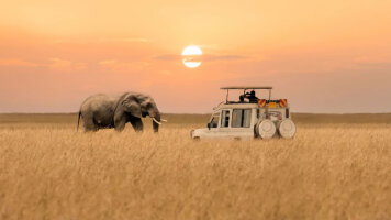 8 Day Kenya: Cultural Connections, Maasai Mara & East Africa Safari (G Adventures)