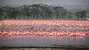 Lake Nakuru National Park