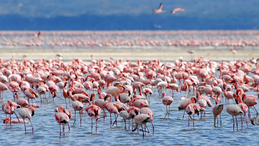 When is the best time to visit Africa?