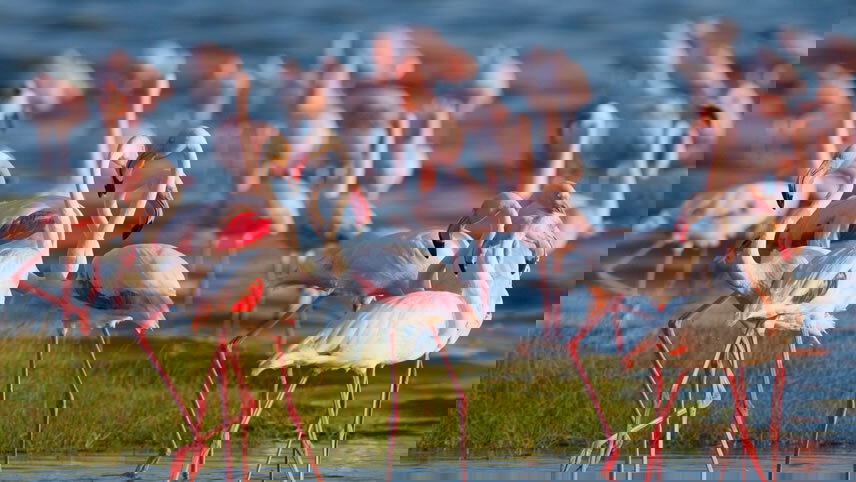 Kenya & Tanzania: The Safari Experience with Nairobi