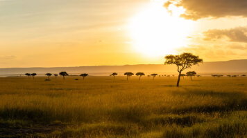 12 Day East African Adventure (Scenic)