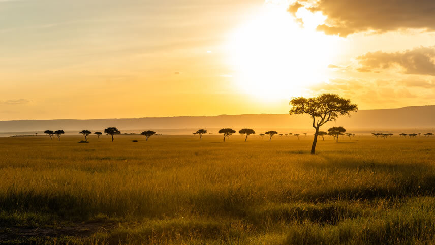 Kenya & Tanzania: Epic Great Migration Safari