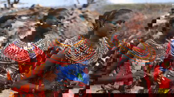 21 Day Safari, The Seychelles and Indian Ocean (Emerald Cruises)