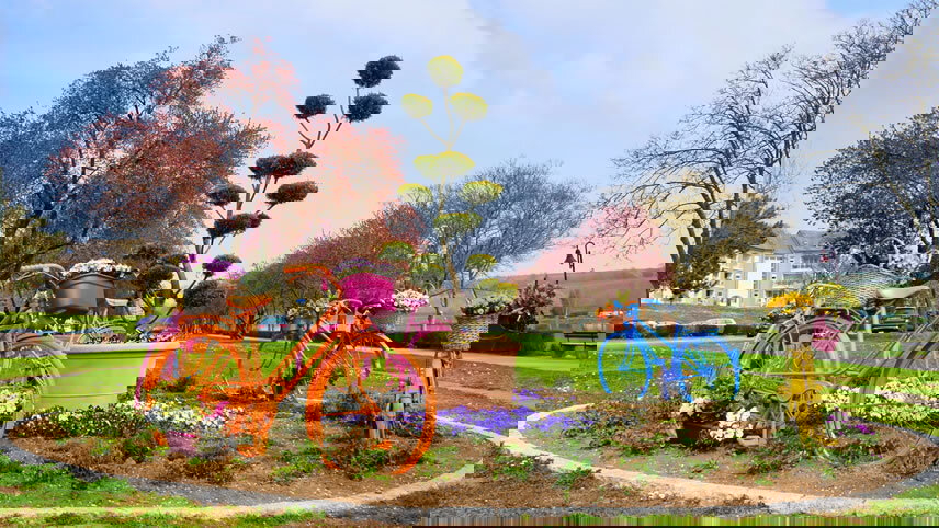 The Rhine & Moselle: Canals, Vineyards & Castles with Paris