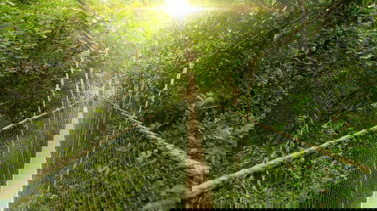 Malaysia Tours Trips)