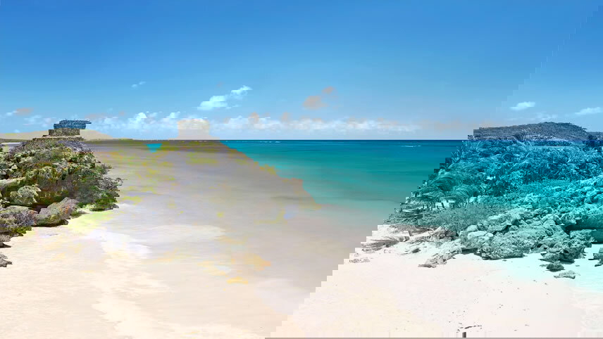 Tropical Serenade