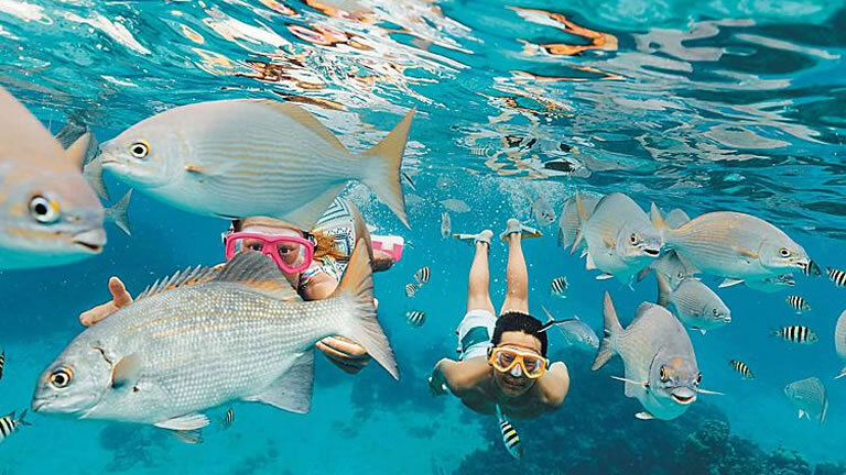 Western Caribbean Cruise