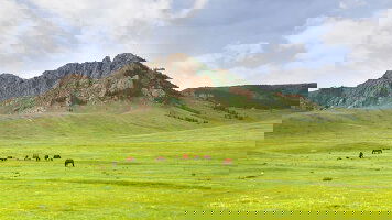 Mongolia Tours Trips