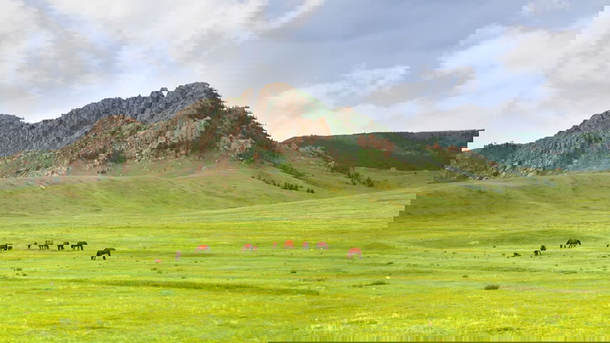 Discover Mongolia - Naadam Festival