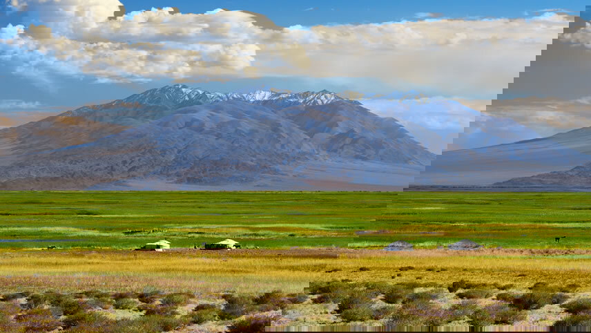 Cycling in Mongolia - Naadam Festival