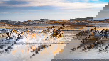 Wendy Wu Central Asia Tours