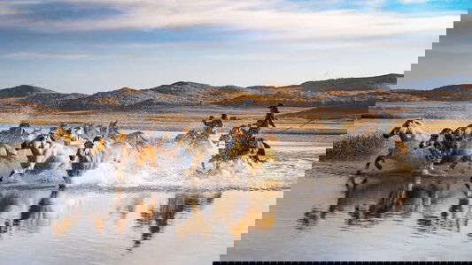 Wendy Wu Central Asia Tours