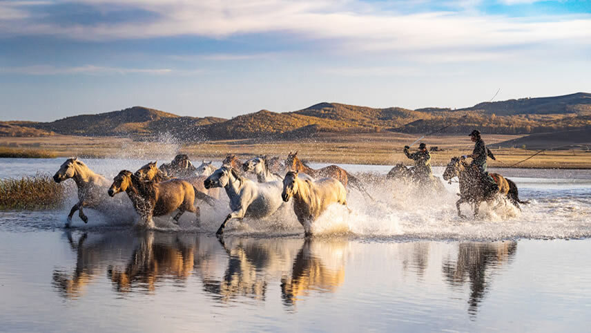 Mongolia Golden Eagle Festival