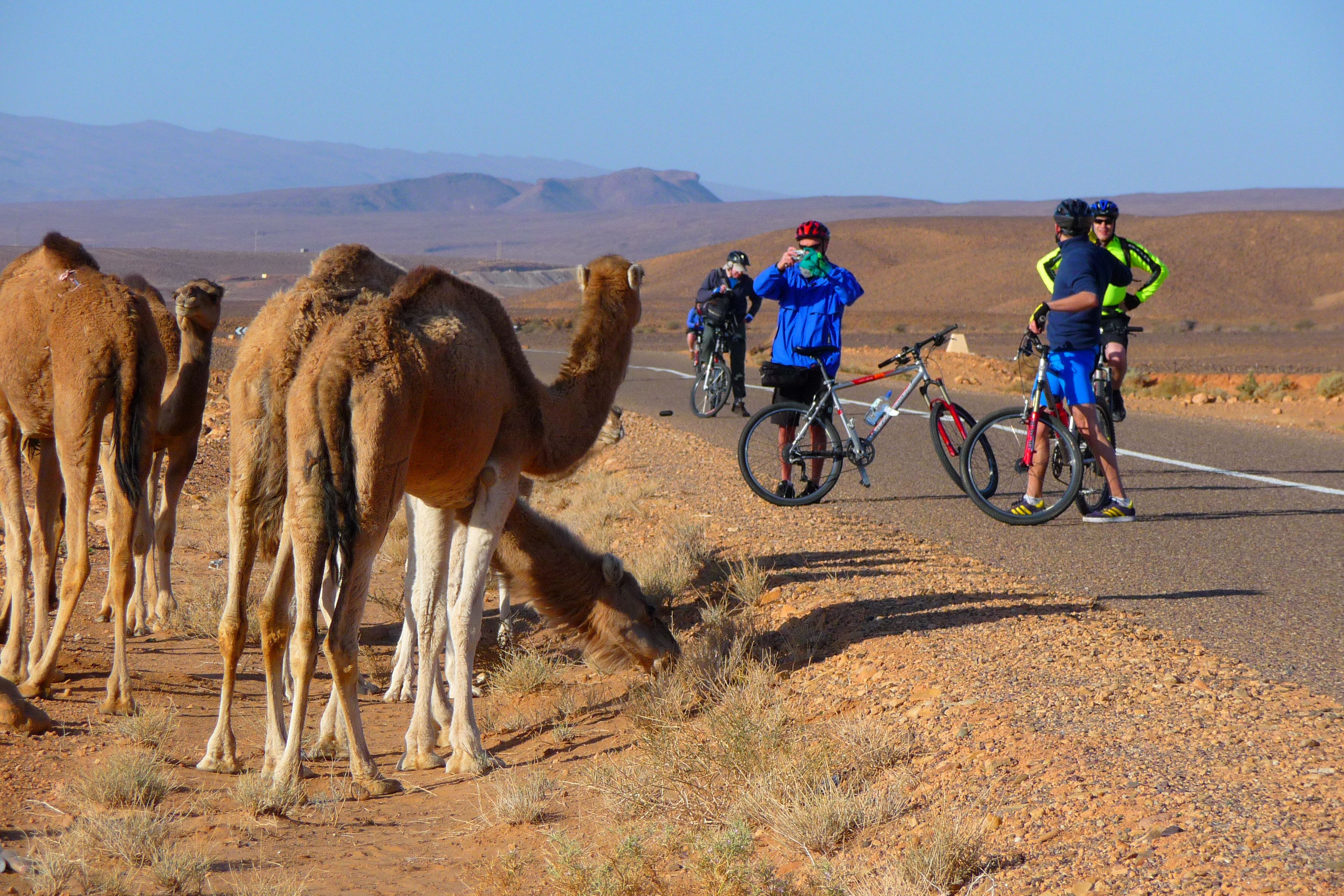 Biking in Morocco - Atlas to Sahara Biking in Morocco - Atlas to Sahara