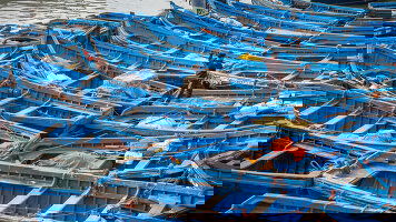 11 Day Treasures of Morocco (Small Group) (Insight Vacations)