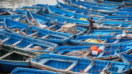 Seaside Essaouira