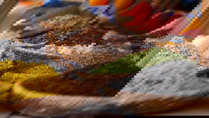 Spain, Portugal & Morocco Tours - 2024 & 2025 Seasons