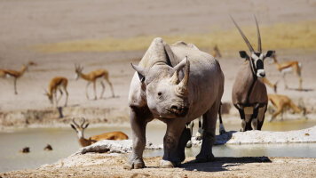 13 Day Namibia: Land of Contrasts with Johannesburg (Globus)