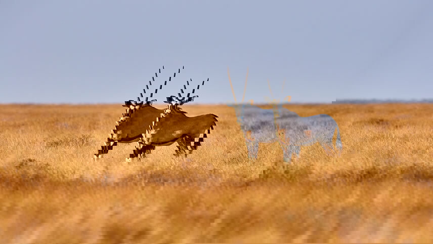 Cape Town to Victoria Falls Adventure