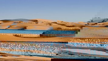 23 Day Cape Town To Hamburg (Cunard)