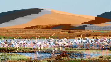 31 Day Africa's West Coast: Cape Town To Cabo Verde (Seabourn)