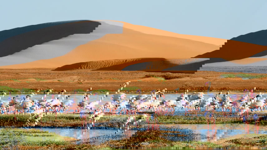 Africa's West Coast: Cape Town To Cabo Verde