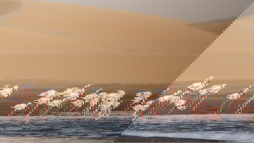 Africa: Cape Town To London