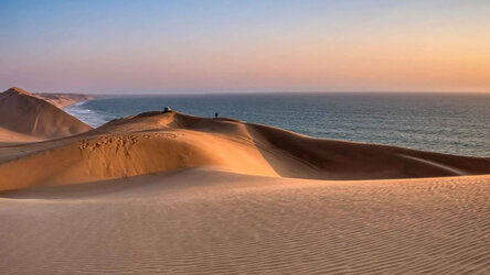 Discover the Nature of Namibia at Walvis Bay