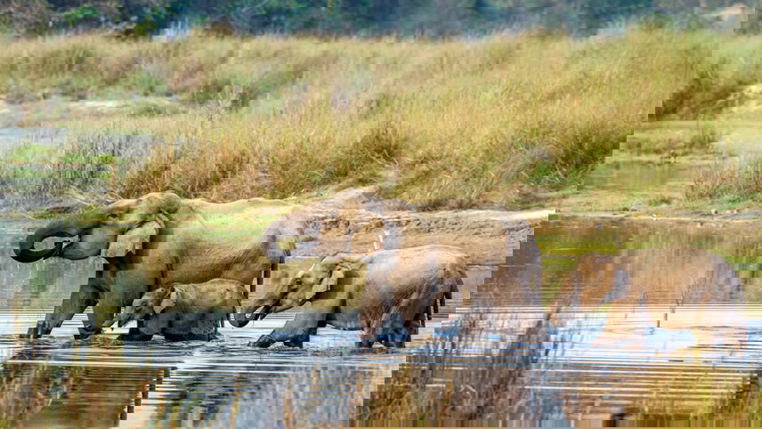 Varanasi to Kathmandu: Temples, Trails & Himalayan Hikes