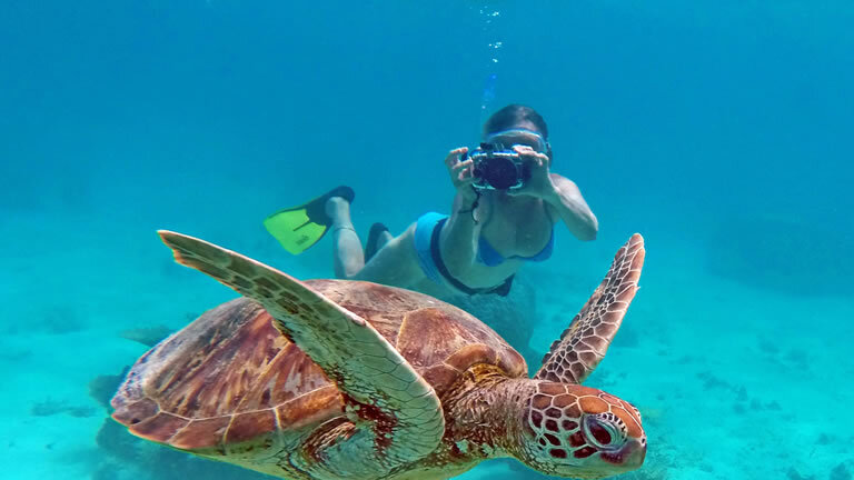 Pacific Island Hopper