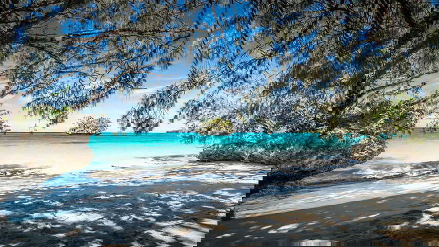 Vanuatu & New Caledonia from Sydney (White Bay)