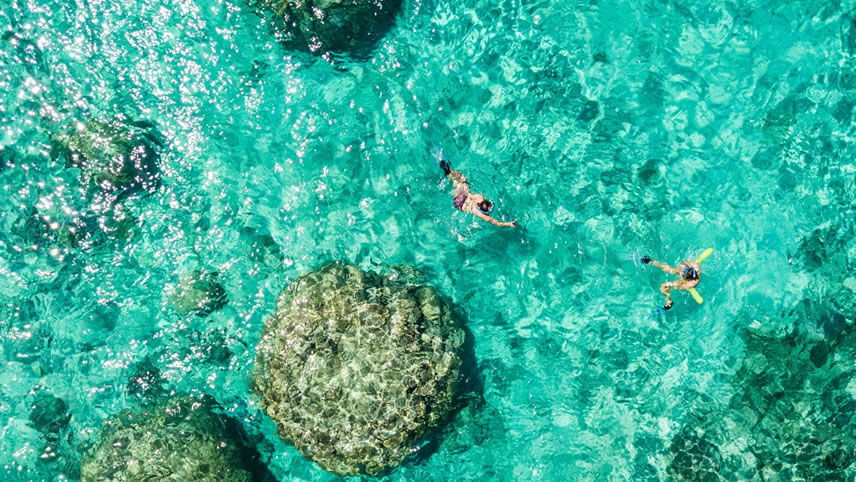 South Pacific Holiday Cruise