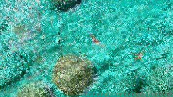 27 Day World Cruise: South Pacific Explorer & Hawaii (Seabourn)