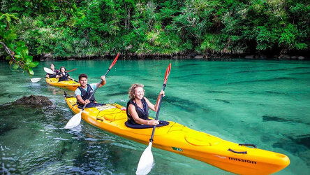Explore Abel Tasman National Park