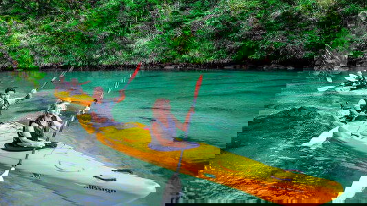 Kayaking Tours Trips